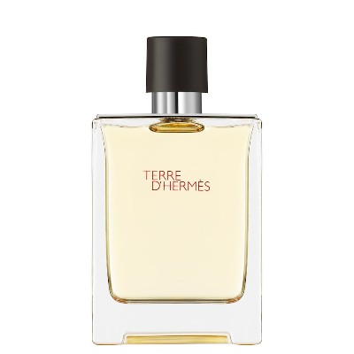 HERMÈS Terre dHermès Terre dHermès Woda toaletowa 100 ml Męskie