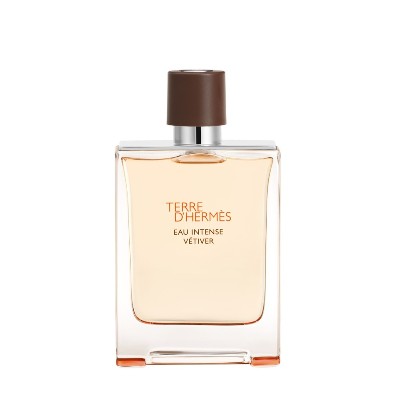 HERMÈS Terre dHermès Eau Intense Vétiver Woda perfumowana 100 ml Męskie