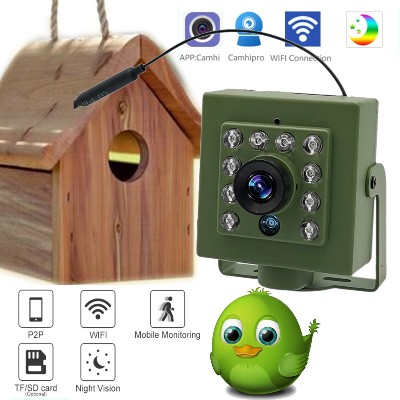 kamera Wifi Bird Box Audio 1920P 1080P IR CUT Night Vision RTSP FTP Mini IP IPC Pet Nest Bird Watching 28mm lens Camhi