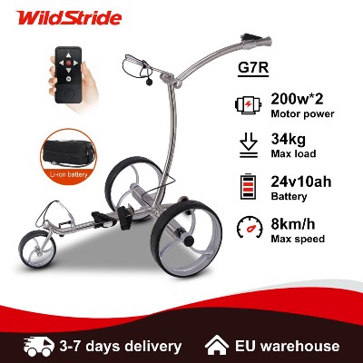Elektryczny wózek golfowy Wildstride pilotem bateria 24V 10Ah zasięg 20KM prędkość 8KMH podwójne silniki 200W wózek golfowy G7R