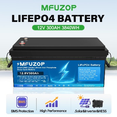 Datouboss LiFePO4 300Ah 12V Deep Cycle Battery Built in BMS High Performance for Solar Inverter HESS 3840Wh
