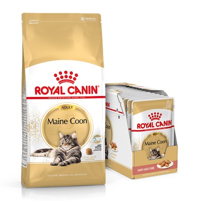 ROYAL CANIN Maine Coon Adult 10 kg mokra karma Mainecoon 12x85 dla kotów rasy maine coon