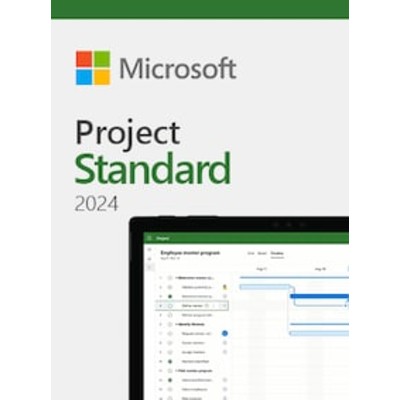 Microsoft Project 2024 Standard PC Microsoft Key GLOBAL
