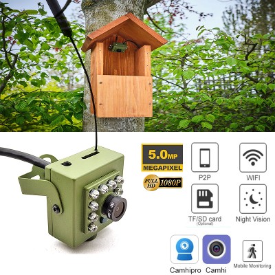 5MP 2MP Indoor Bird Box Camera Wifi Security Nest Wireless Mini CCTV Kit Suit Audio 940nm IR CUT Night Vision Pet FTP RTSP RTMP