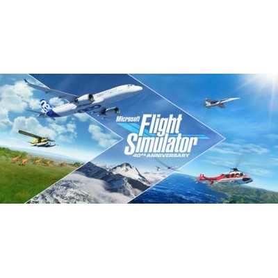 Microsoft Flight Simulator Standard 40th PC