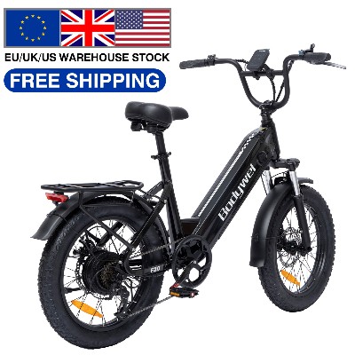 Bodywel F20 elektryczny rower terenowy 20 cali 500W rower górski elektryczny 48V13AH rower elektryczny grubymi oponami dla dorosłych motocykl