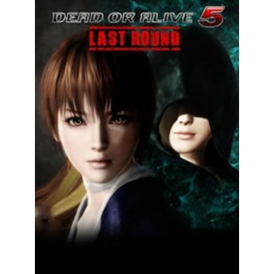 DEAD OR ALIVE Last Round PC Steam Account GLOBAL