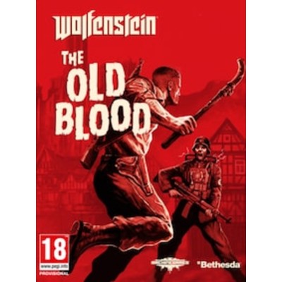 Wolfenstein The Old Blood PC Steam Account GLOBAL