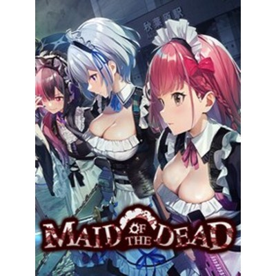 Maid of the Dead PC Steam Account GLOBAL