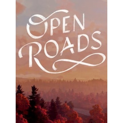Open Roads PC Steam Account GLOBAL