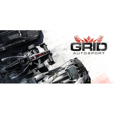 GRID Autosport PC