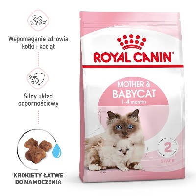 ROYAL CANIN MotherampBabycat karma sucha dla kotek okresie ciąży laktacji kociąt od do miesiąca życia kg