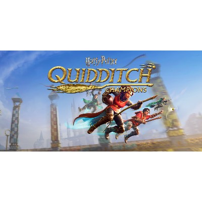 Harry Potter Quidditch Champions PC