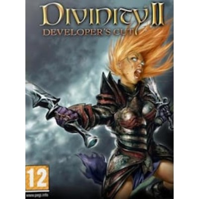 Divinity II Developers Cut Steam Key GLOBAL