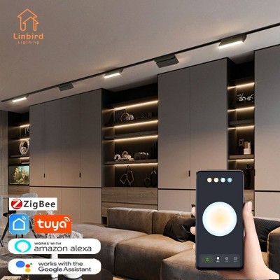 Inteligentny system oświetlenia szynowego magnetyczną szyną Nowoczesna elastyczna oprawa Reflektor LED DC48V Sufitowe oświetlenie wewnętrzne Inteligentna lampa domowa Living