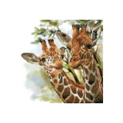 Haft diamentowy Żyrafy DD8017