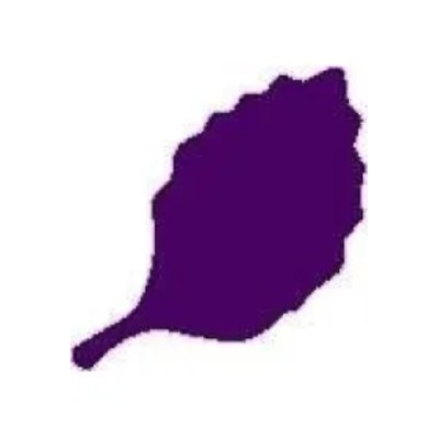 Dziurkacz ozdobny Liść