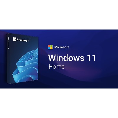 Microsoft Windows 11 Home OEM