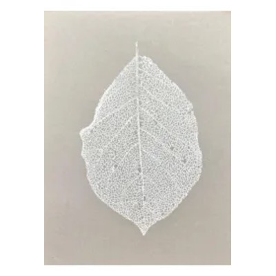 Suwalski Park Krajobrazowy