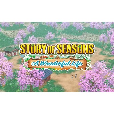 STORY OF SEASONS Wonderful Life PC