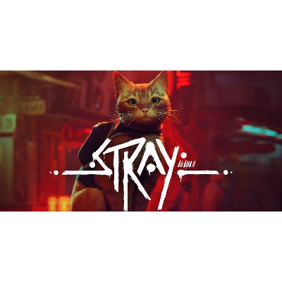 Stray PC