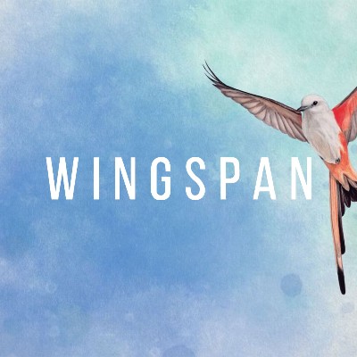 Wingspan PC